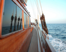 contact-yachts-matina_0011