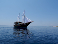 contact-yachts-oracle_0001