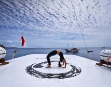 contact-yachts-oracle_0011
