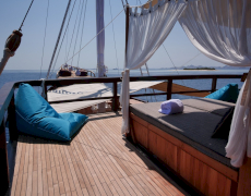contact-yachts-oracle_0044