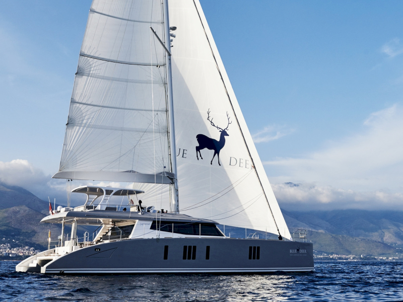 contact-yachts-blue-deer_0001