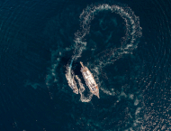 contact-yachts-maske_0017